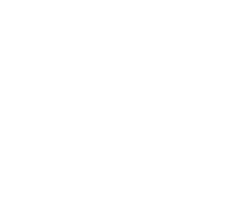 Press logo
