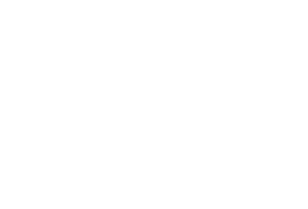 Press logo